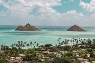 Green Palm Trees Near Body of Water