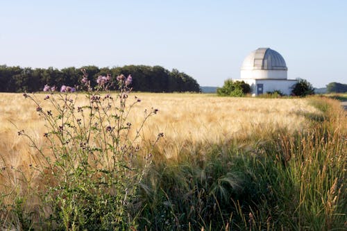 Free stock photo of astronomie, observatorium, weizenfeld