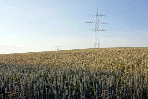 Free stock photo of agrarland, bauernhof feld, blauer himmel