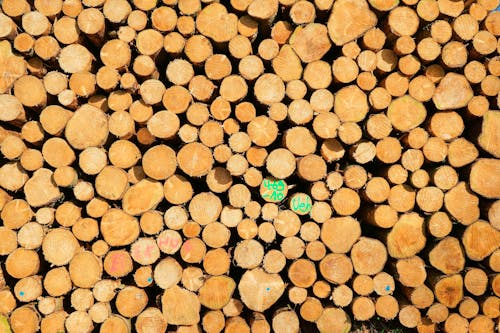 Stack of Brown Wooden Logs