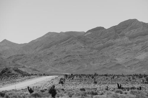 A Mountain in the Desert