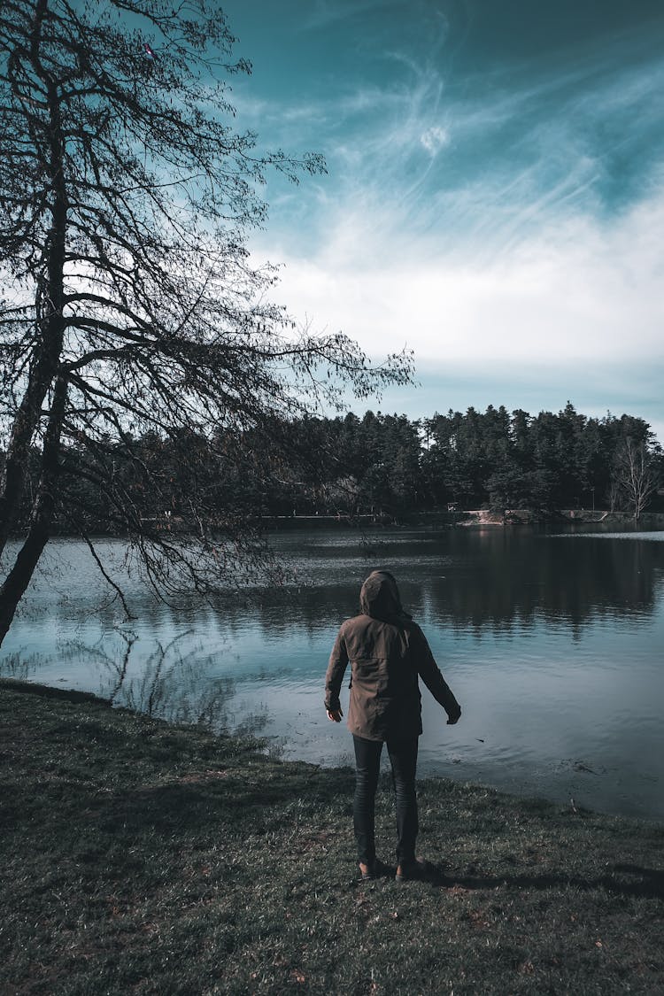 Unrecognizable Tourist Contemplating Lake On Shore At Night