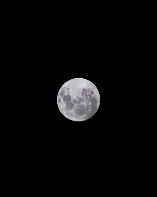 Grayscale Photo of Moon · Free Stock Photo