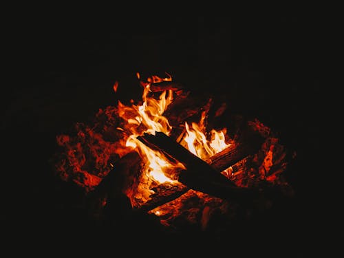 Free Burning Wood in Black Background Stock Photo