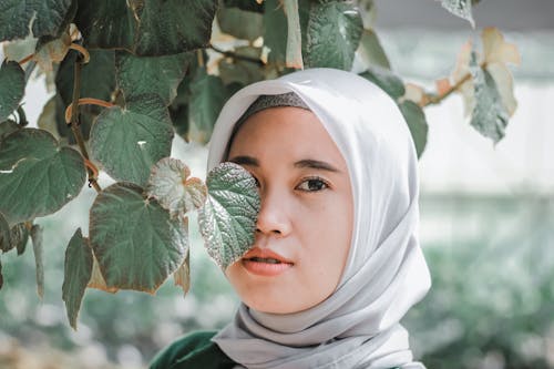 Free Young Muslim female in headscarf with makeup looking at camera near green leaves in park Stock Photo