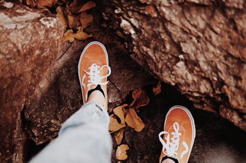 Person in Orange Vans Sneakers Standing on Tree Trunk