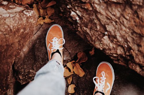 Free Orange sneakers in a close-up high angle view on a forest floor with fallen leaves and tree bark. Stock Photo