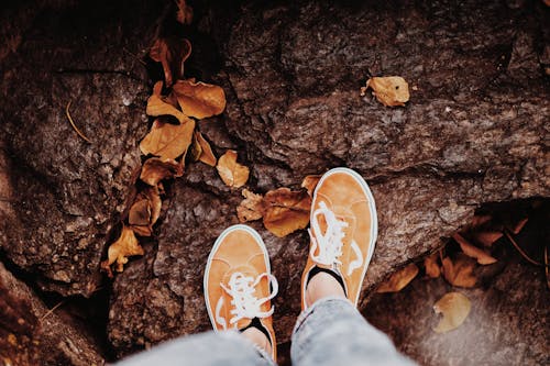 Person in Orange Sneakers Standing on Brown Rock with Dried Leaves
