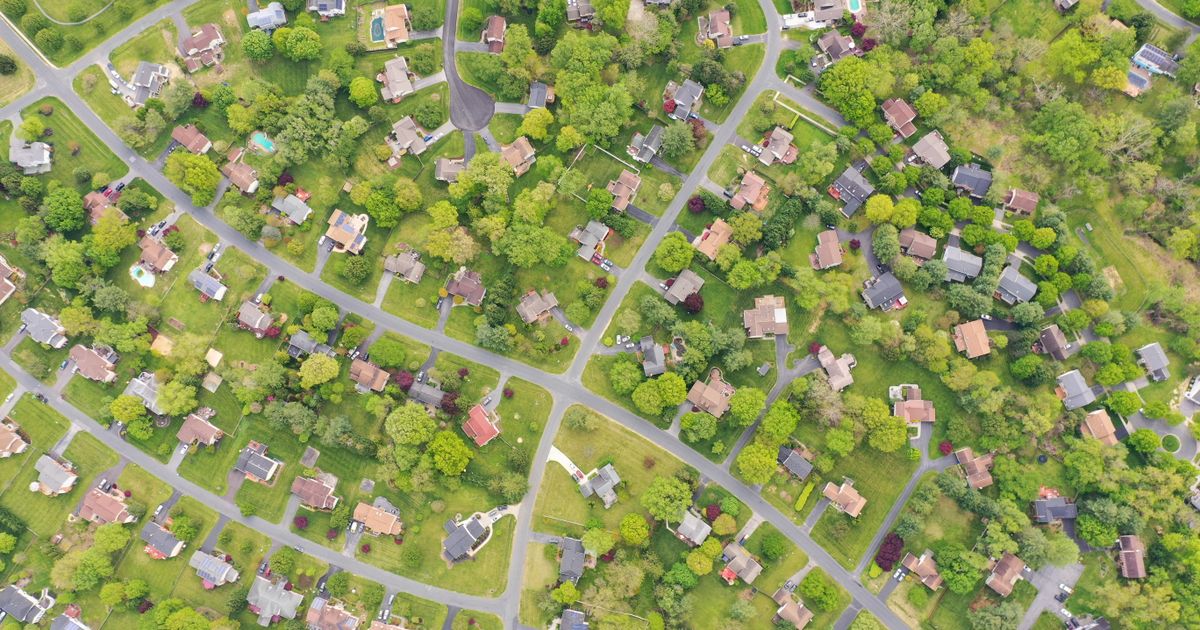 Aerial view of a leafy suburban Maryland neighborhood with tree-lined residential streets