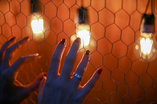 Female Person Touching a Wire Mesh