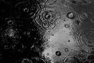 雨滴在潮湿的表面漾开黑白涟漪，展现了大自然的美丽