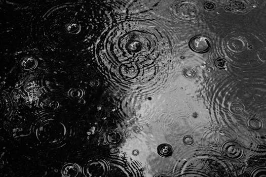Black and white image of raindrops creating ripples on a wet surface, showcasing nature's beauty.