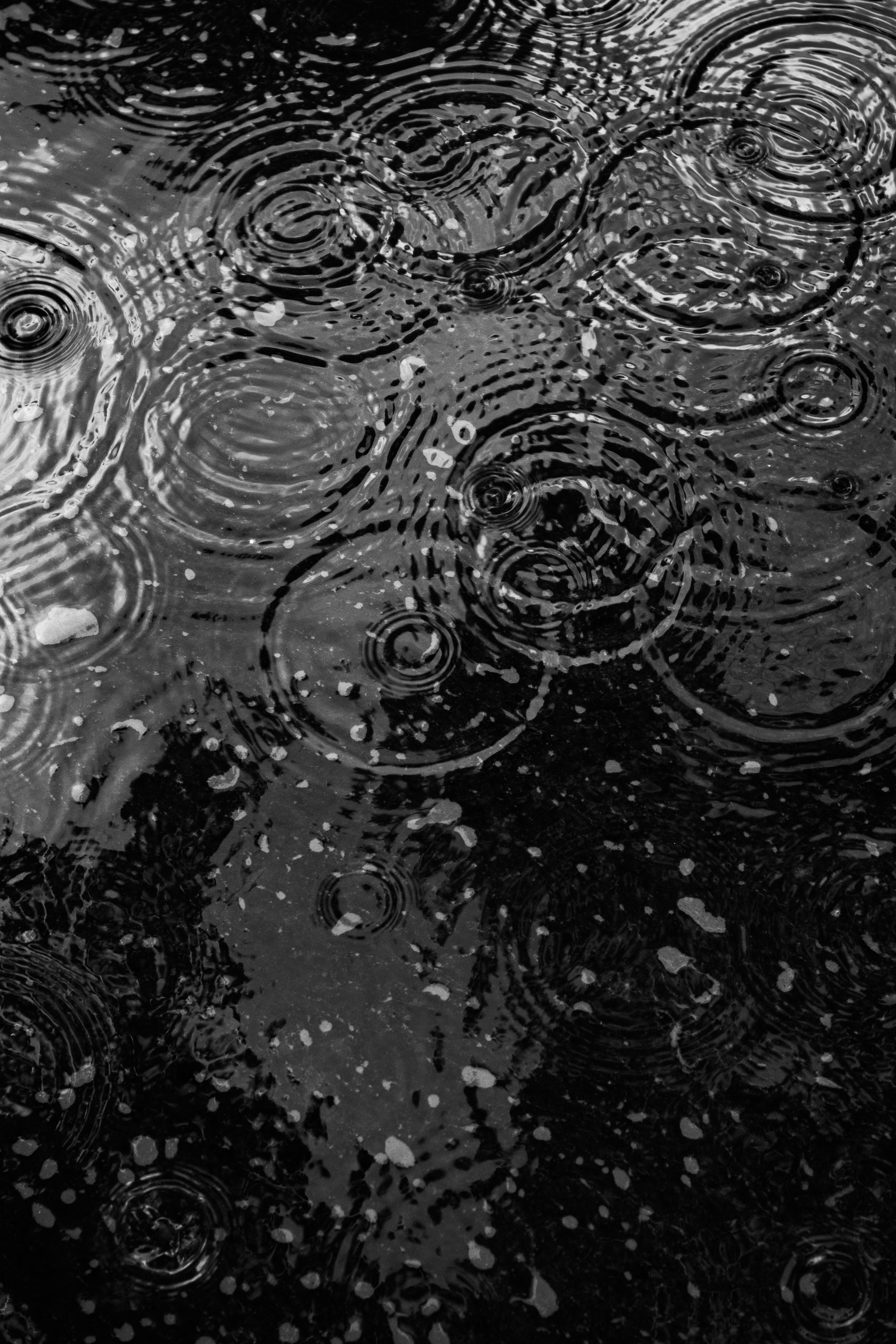 Rainy Day Window iPhone 8 Wallpapers Free Download