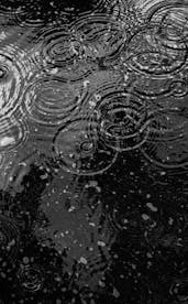 100 000 張最佳雨壁紙相片 100 免費下載 Pexels 圖庫相片 100 000 張最佳雨壁紙相片 100 免費下載 Pexels 圖庫相片