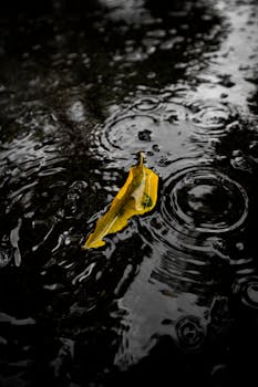 A single yellow leaf floats in a rain-soaked puddle with ripples and raindrops.
