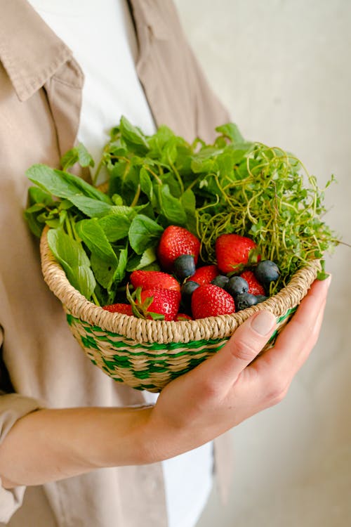 Foto stok gratis bluberi, buah-buahan, Daun-daun