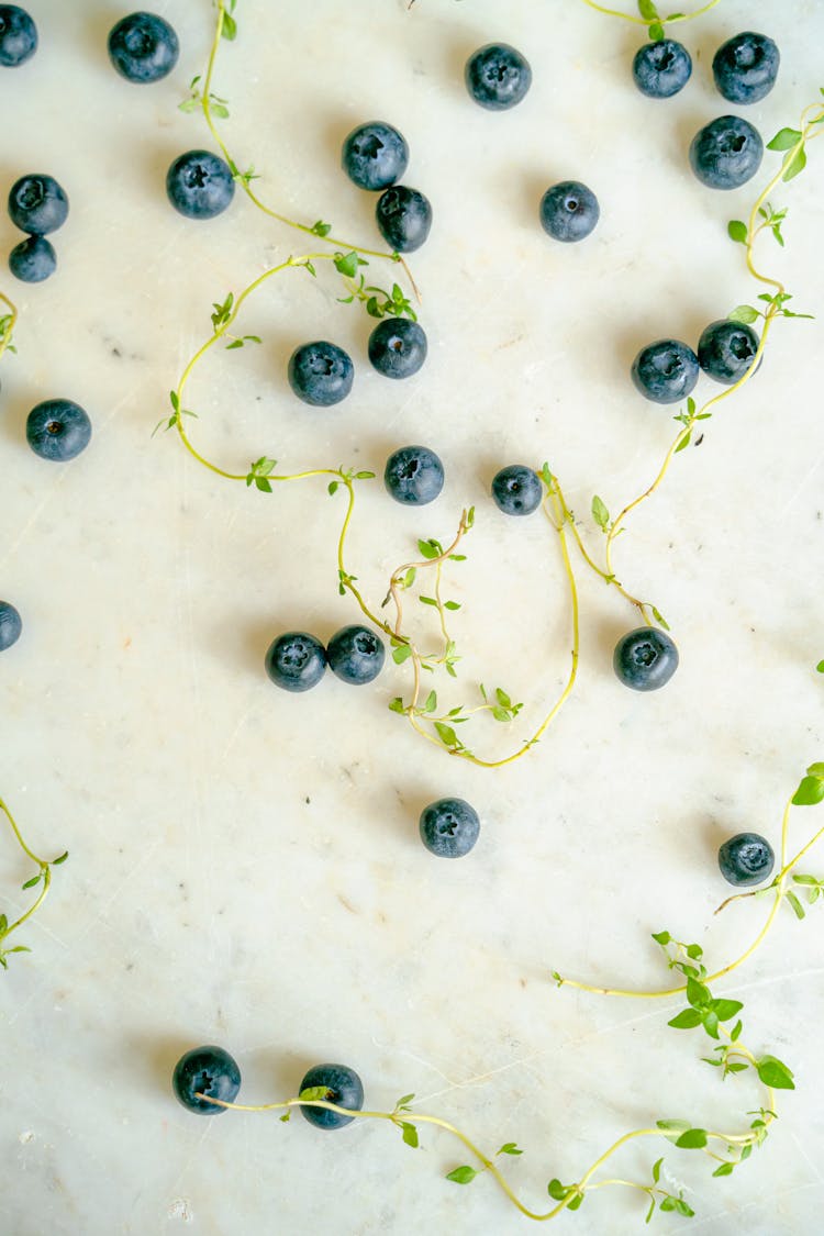 Plant Around Blackberries