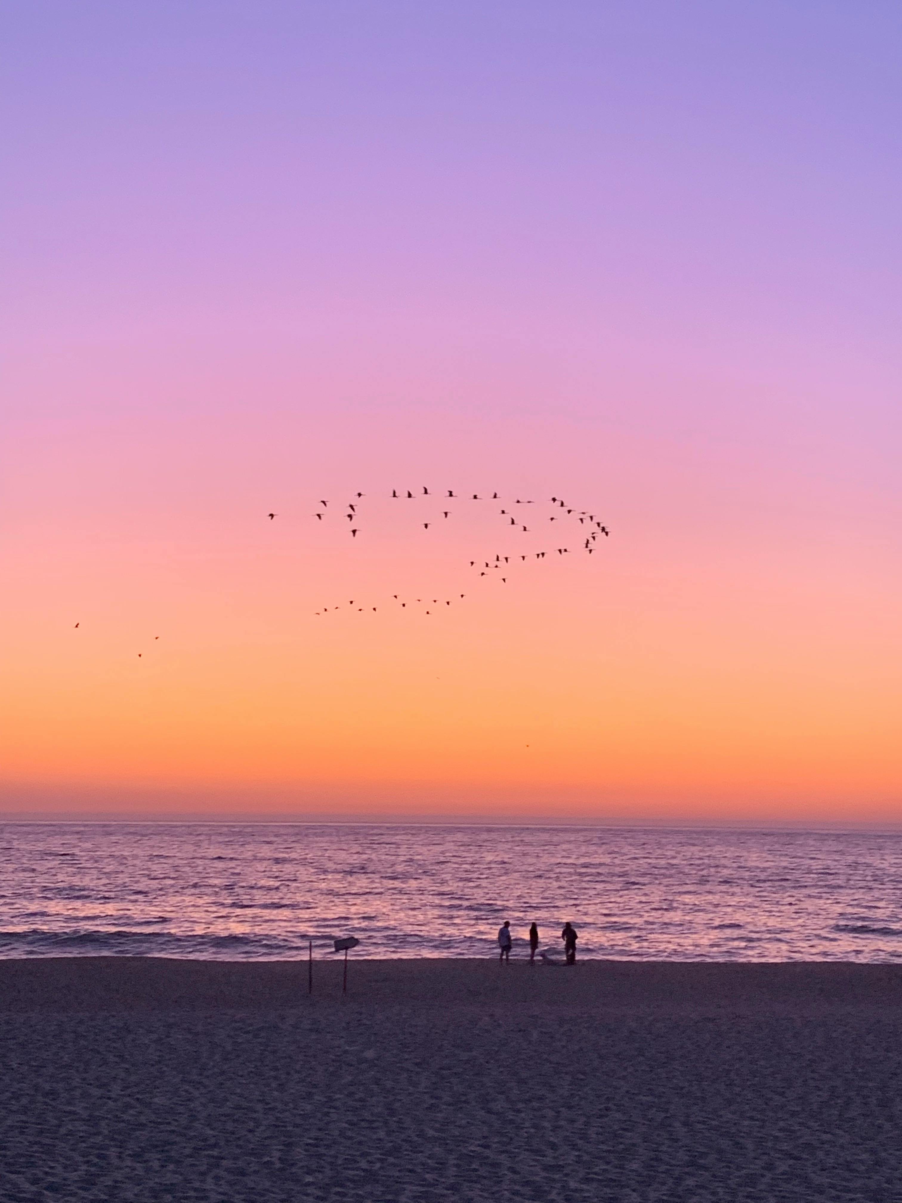 日落时分，人们在明亮的天空下，沿着沙质海岸行走，形成剪影