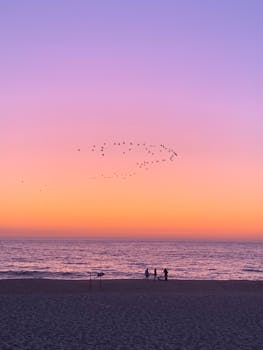 日落时分，人们在明亮的天空下，沿着沙质海岸行走，形成剪影