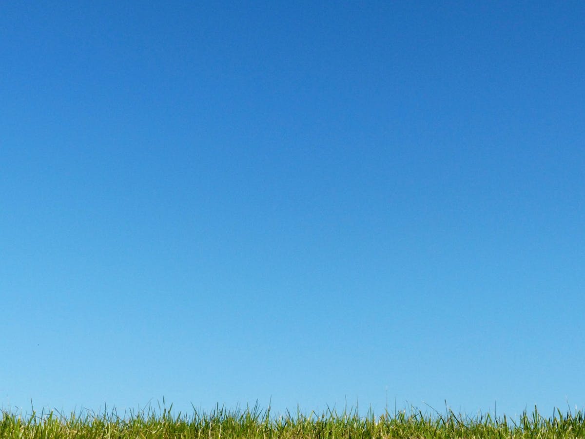 Group of diverse friends sharing a healthy meal together