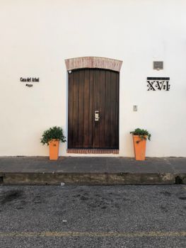 Closed wooden door of stone building with green plants in pots at entrance