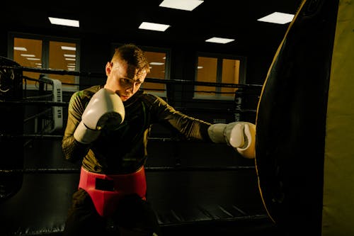 Free Foto profissional grátis de anel de boxe, atleta, boxe Stock Photo