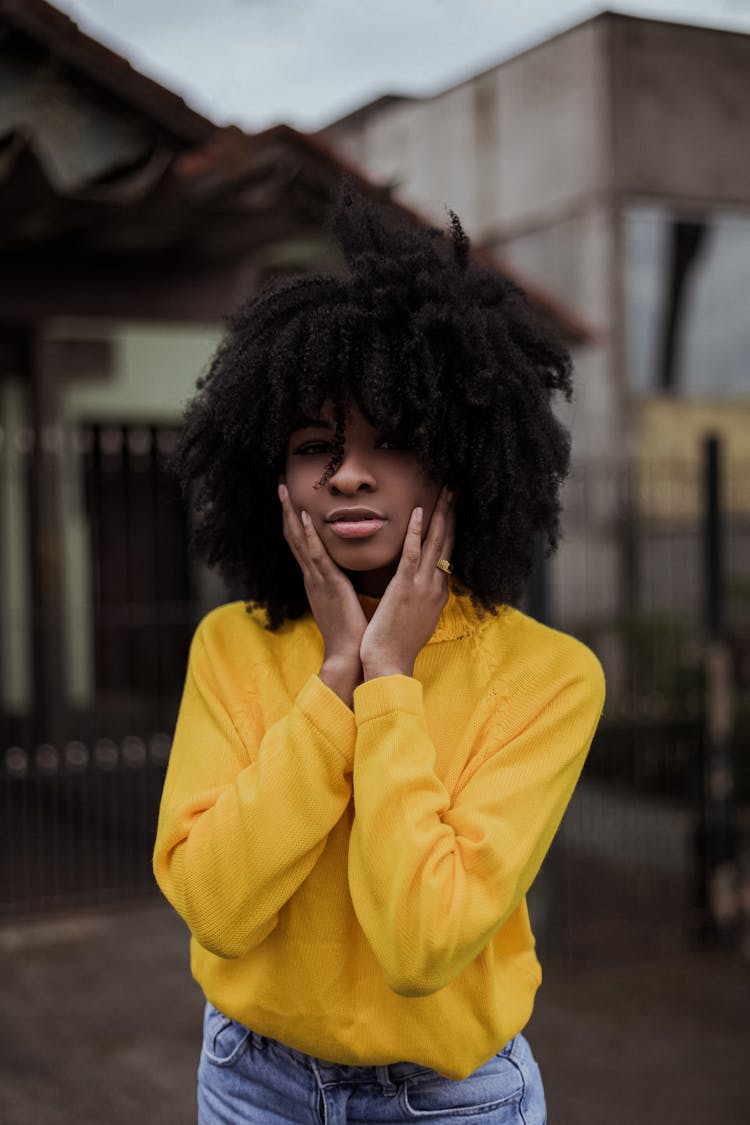 African American Woman With Afro Hairstyle