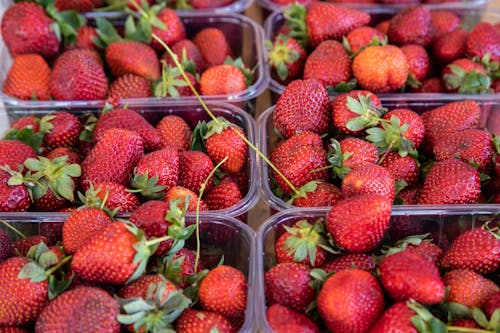 건강한, 딸기, 시장의 무료 스톡 사진