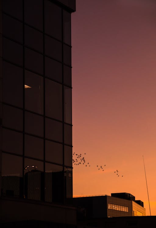 Безкоштовне стокове фото на тему «ciudad, edificio, luces»