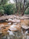 Rocky terrain with creek near forest