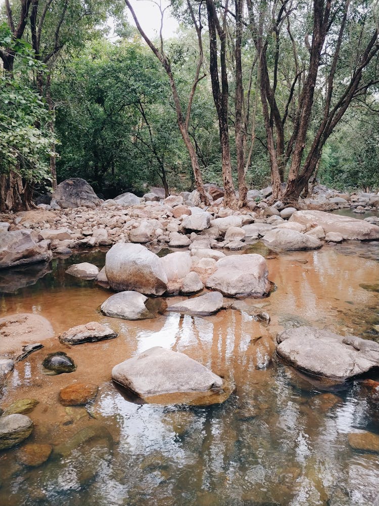 Rocky Terrain With Creek Near Forest