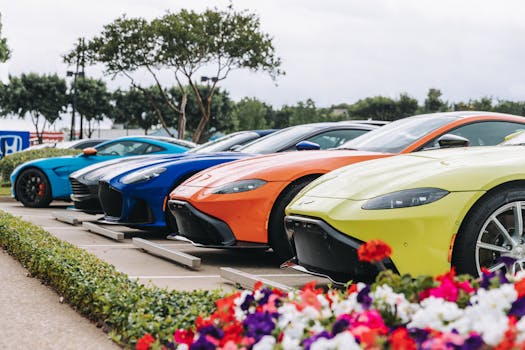 Row of contemporary multicolored sports cars with strong engines parked on sunny street