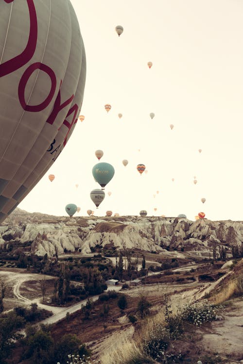 Amazing view of numerous multicolored air balloons rising above rough highlands covered with greenery against gray sky in Cappadocia