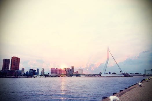 日落时分的鹿特丹天际线与伊拉斯谟桥景色壮丽