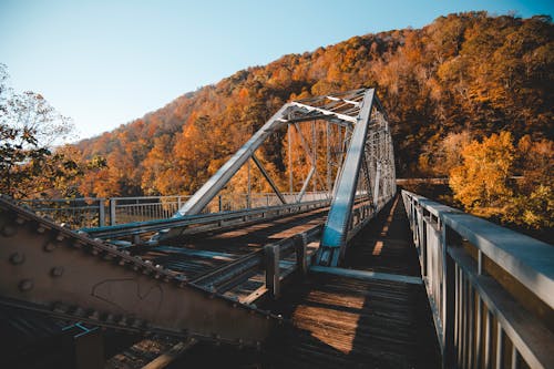 Free Bridge in Autumn Stock Photo