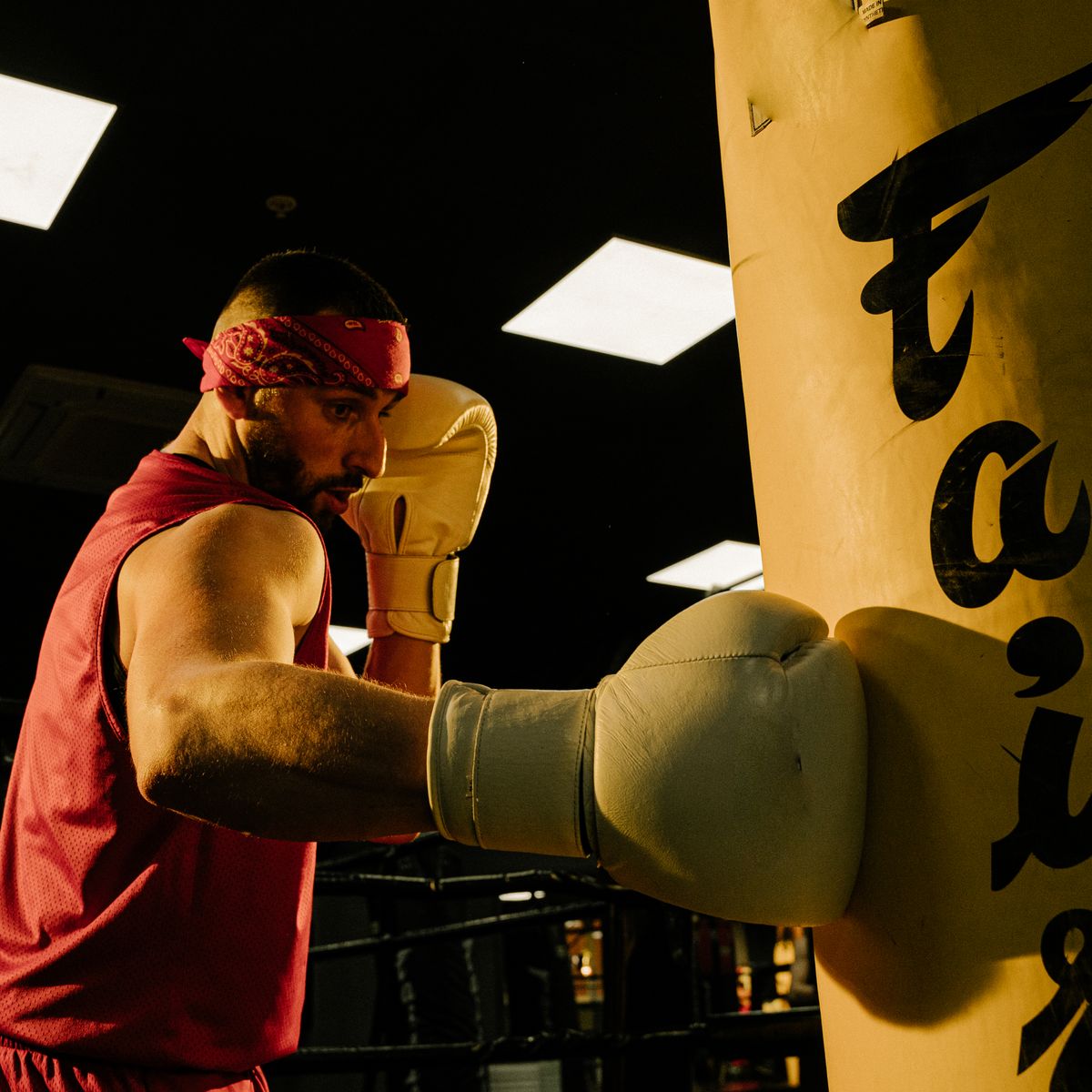 SF Focus Pads Curve