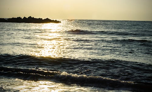 Free stock photo of beach, sea, sunrise