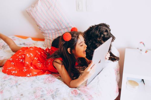 Free High angle cheerful girl in stylish red dress resting on soft bed near black Spaniel dog and surfing modern tablet Stock Photo