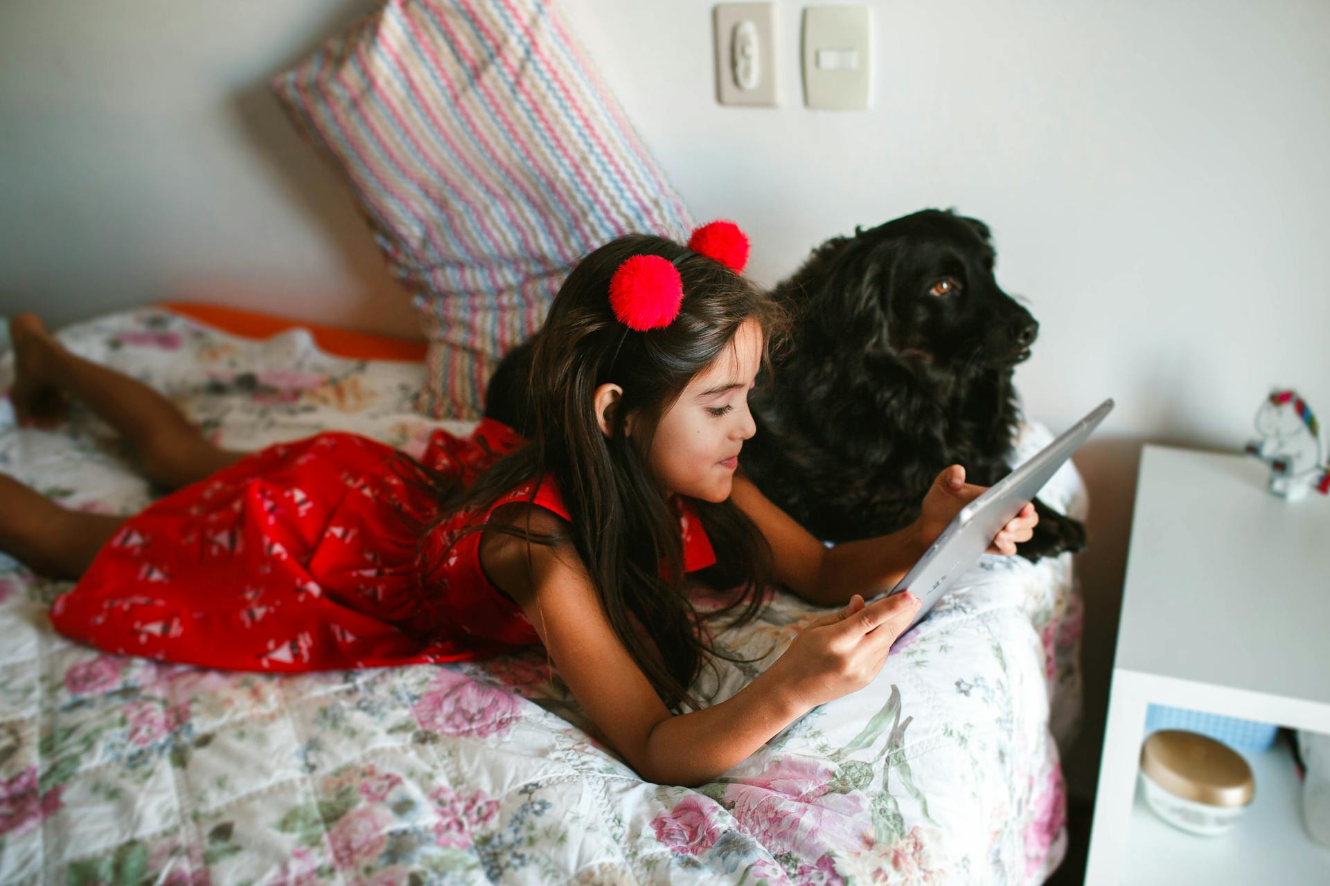 From above positive girl in trendy red dress and hairband relaxing on comfy bed with contemporary tablet near fluffy black Spaniel dog