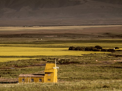 Immagine gratuita di agricoltura, azienda agricola, campagna