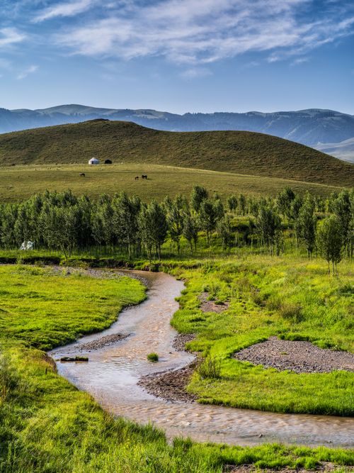 Free Idyllic view of a winding stream through green hills and trees under a blue sky. Stock Photo