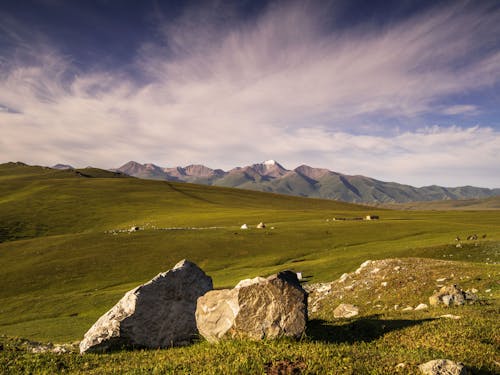 Rock Boulders in the Grassland