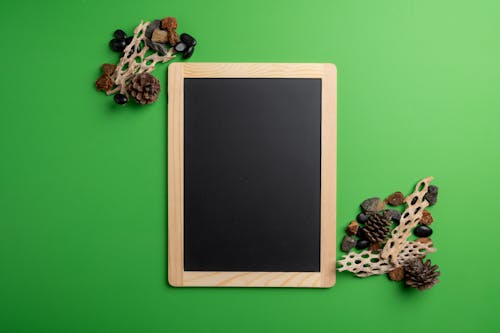 Empty blackboard near decorative corals on green background