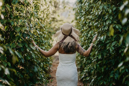 A Woman Walking in the Plantation