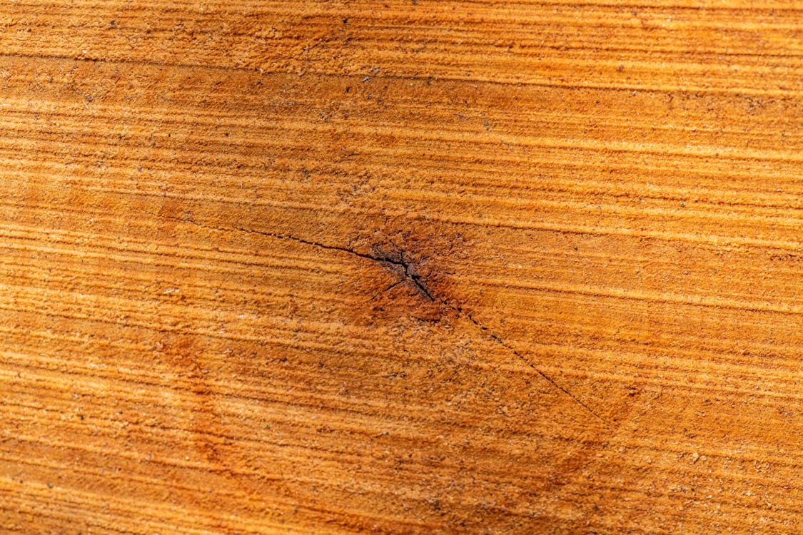 Close up of Cracked Wood Surface