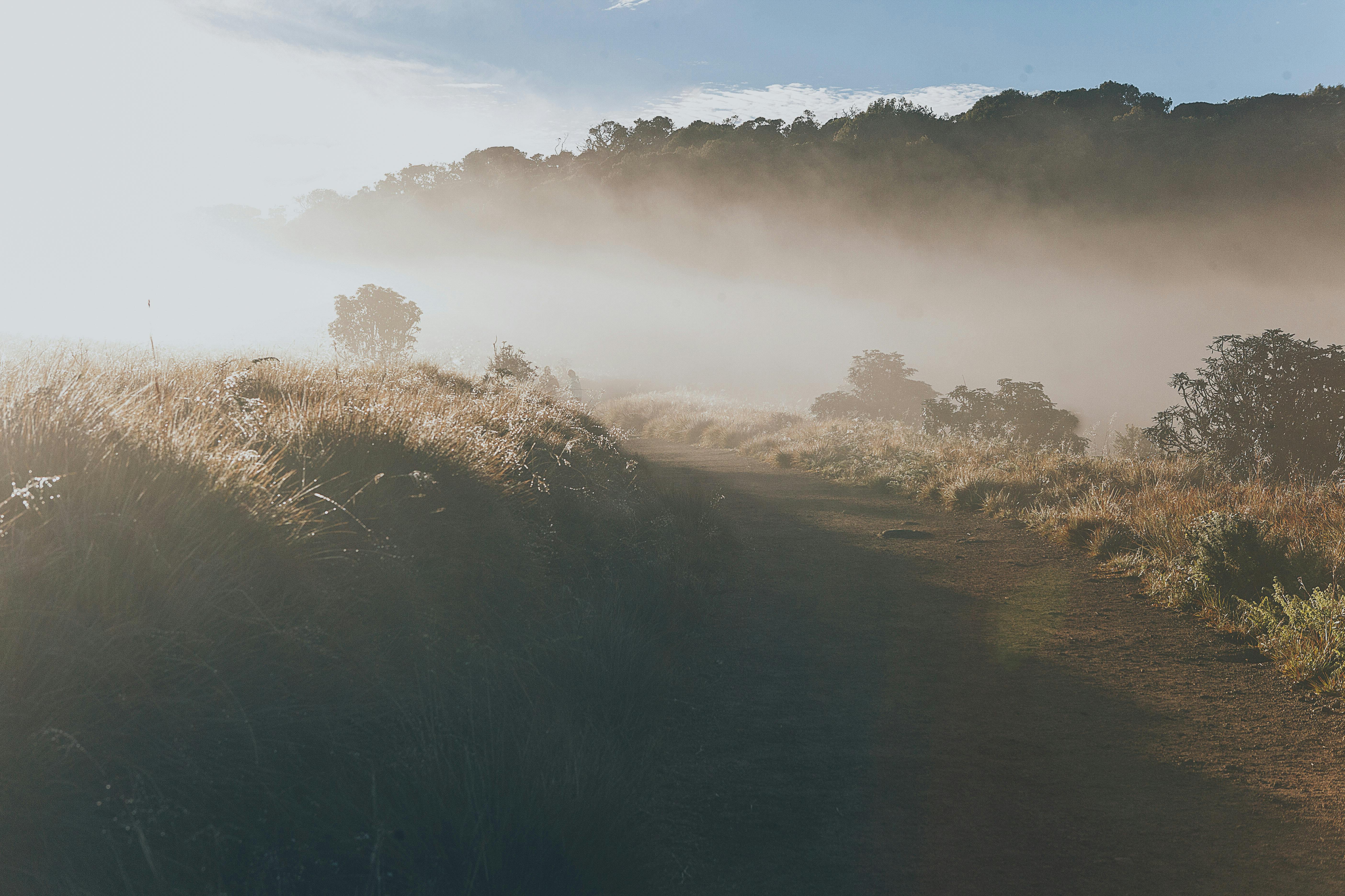 https://www.pexels.com/photo/fog-covering-a-mountain-off-road-4403894/