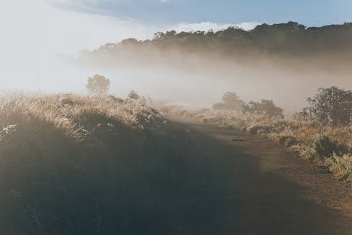 Free Fog Covering a Mountain Off Road Stock Photo