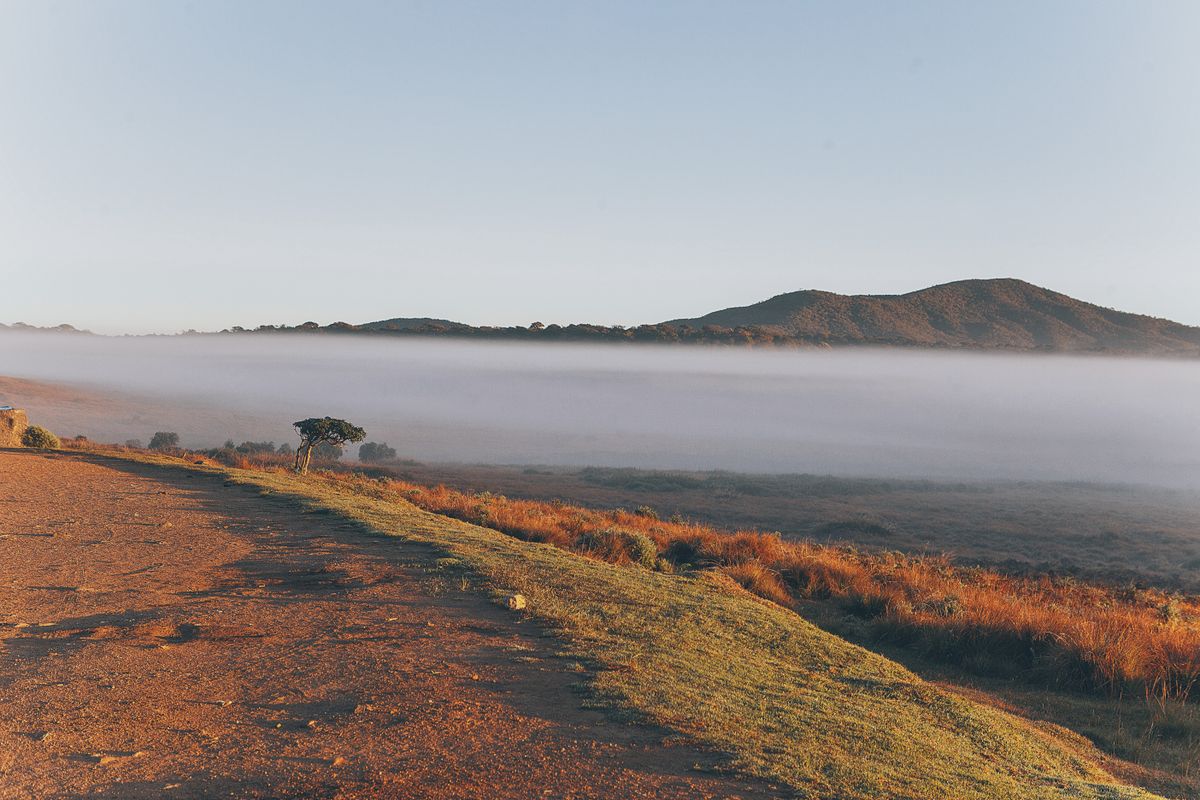 Horton Plains & World's End Trek