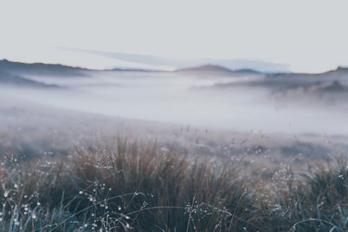 açık hava, çim, doğa içeren Ücretsiz stok fotoğraf