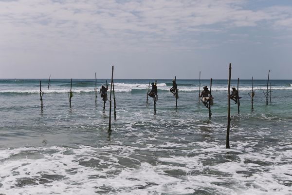 Koggala, Sri Lanka: Lake Safari, Stilt Fishermen and the Quiet Coast Between Galle and Ahangama (2026)
